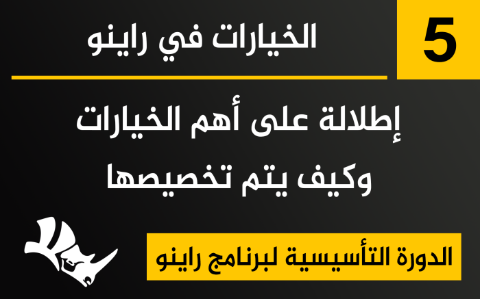 الخيارات في برنامج راينو