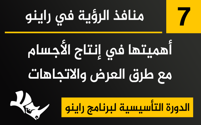 منافذ الرؤية في راينو وأهميتها في إنتاج الأجسام